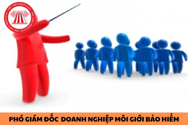 Tiêu chuẩn của Phó Giám đốc  doanh nghiệp môi giới bảo hiểm là gì?