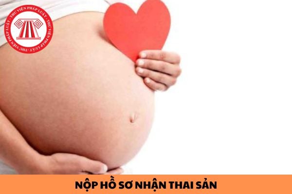 Người lao động tự nộp hồ sơ nhận thai sản đến cơ quan bảo hiểm được không?