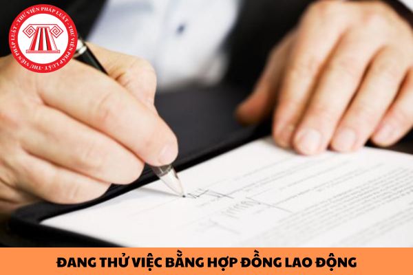 Đang thử việc nếu giao kết bằng hợp đồng lao động thì NLĐ có bị trừ tiền lương để đóng BHXH hay không?