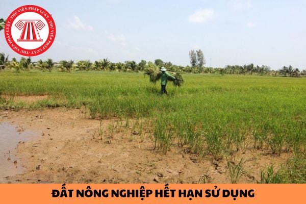 Năm 2024, đất nông nghiệp hết hạn sử dụng có bị thu hồi không?