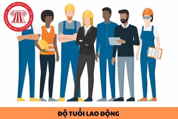 Độ tuổi lao động tối đa là bao nhiêu? Người lao động cao tuổi có quyền thỏa thuận với người sử dụng lao động về việc rút ngắn thời giờ làm việc hằng ngày hay không?