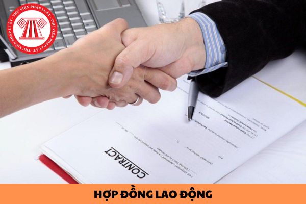 Phụ lục hợp đồng lao động có một số điều khoản có cách hiểu khác với hợp đồng lao động thì thực hiện theo nội dung nào?