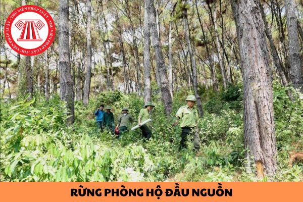 Tiêu chí rừng phòng hộ đầu nguồn thuộc lưu vực của sông, hồ được quy định như thế nào?