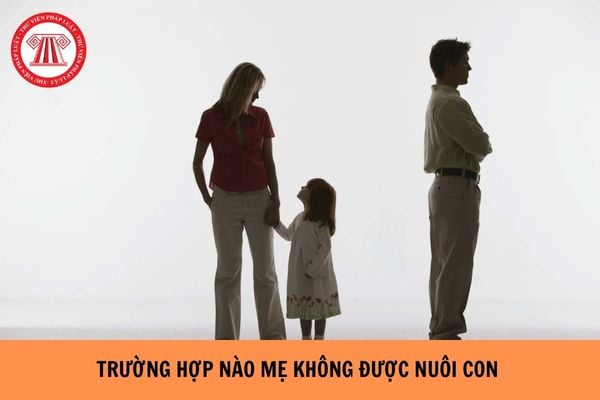 Trường hợp nào mẹ không được nuôi con theo quy định hiện nay?