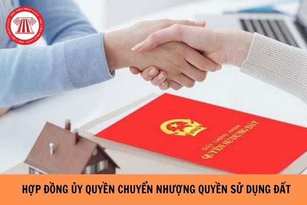 Mẫu hợp đồng ủy quyền chuyển nhượng quyền sử dụng đất năm 2023?