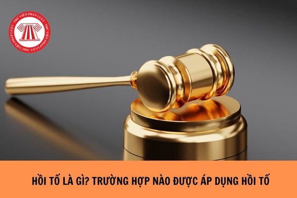 Hỏi đáp Pháp luật