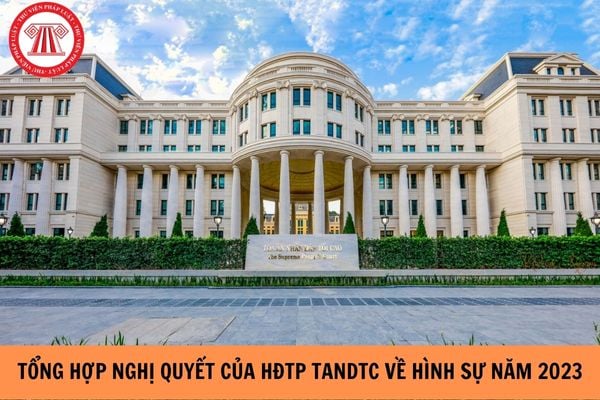 Tổng hợp Nghị quyết của Hội đồng thẩm phán TANDTC về lĩnh vực hình sự còn hiệu lực năm 2023? (Hình từ Internet).