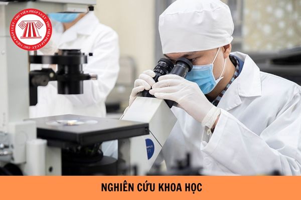 Phân loại nghiên cứu khoa học hiện nay như thế nào?