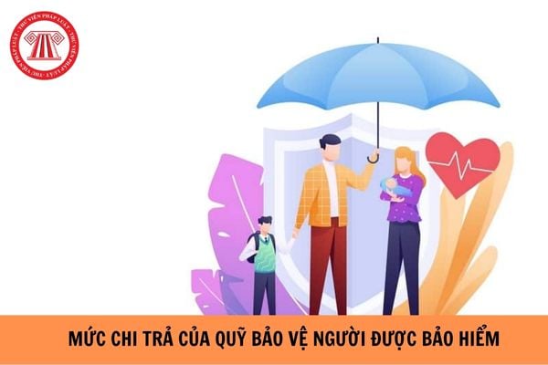 Trường hợp nào Quỹ bảo vệ người được bảo hiểm chi trả tối đa hợp đồng bảo hiểm? (Hình từ Internet).