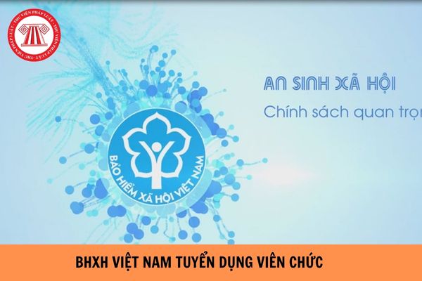 Bảo hiểm xã hội Việt Nam thông báo tuyển dụng viên chức làm việc tại TP.HCM năm 2023?