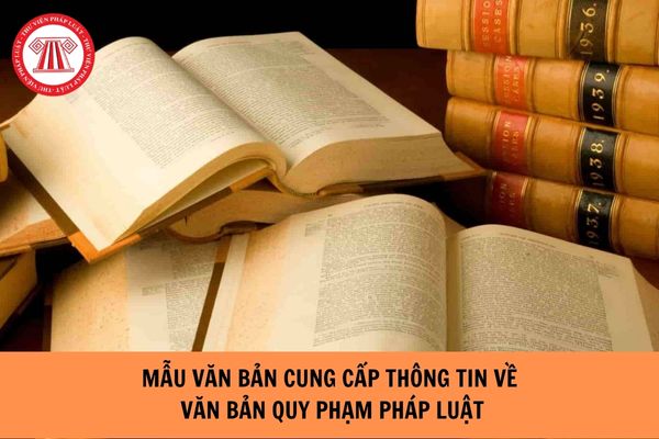 Mẫu văn bản cung cấp thông tin về văn bản quy phạm pháp luật do Chính phủ và Thủ tướng Chính phủ ban hành?