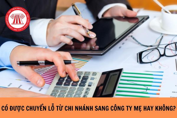 Có được chuyển lỗ từ chi nhánh sang công ty mẹ hay không?