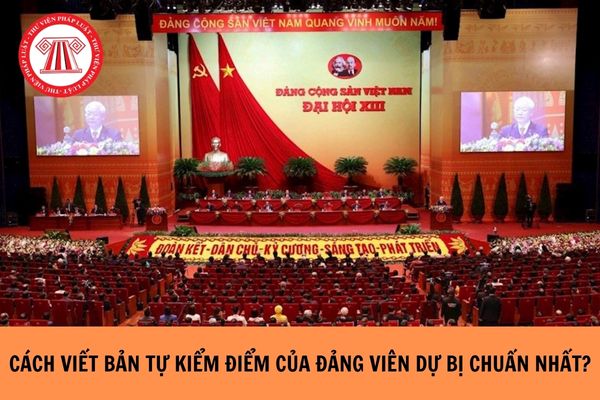 Cách viết bản tự kiểm điểm của Đảng viên dự bị chuẩn nhất?