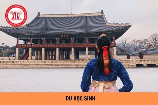 Du học sinh là gì? Những nước có nhiều du học sinh Việt Nam nhất hiện nay?