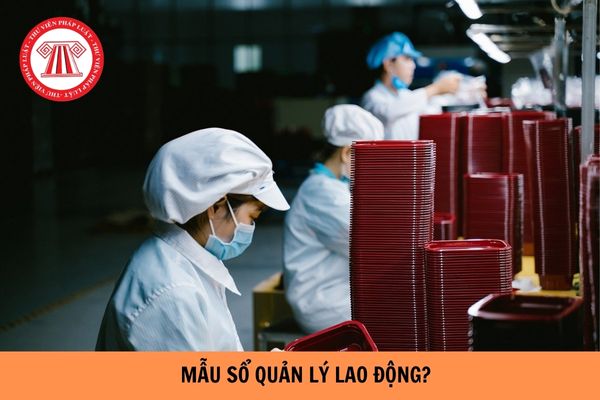 Mẫu Sổ quản lý lao động mới nhaất hiện nay và cách viết?