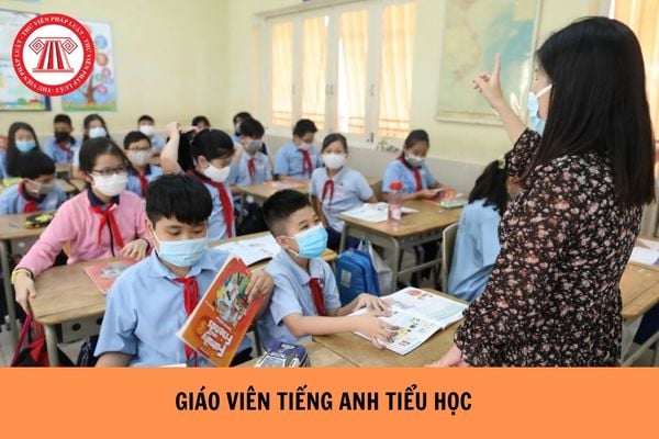 Điều kiện tham gia tuyển dụng giáo viên Tiếng anh tiểu học là gì?