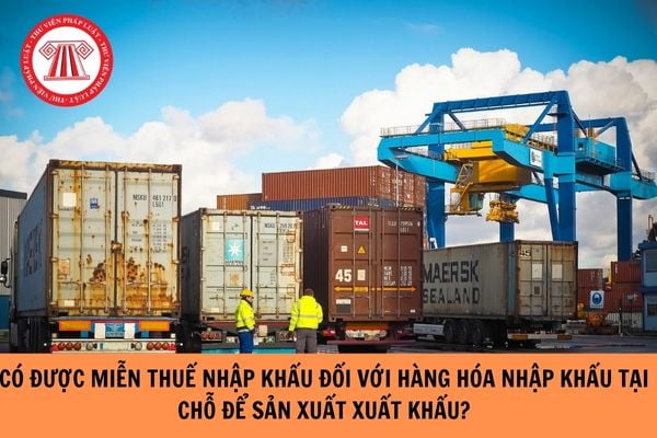 Có được miễn thuế nhập khẩu đối với hàng hóa nhập khẩu tại chỗ để sản xuất xuất khẩu?