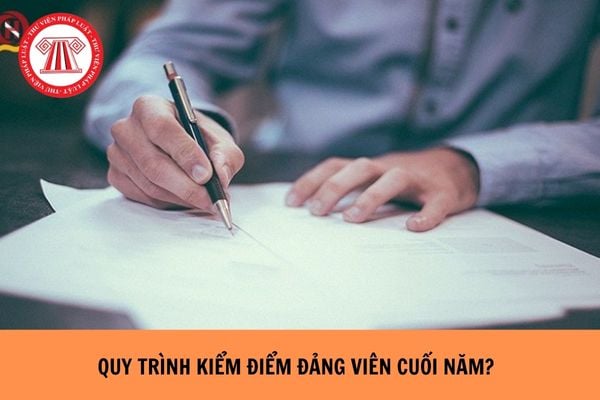 Quy trình kiểm điểm đảng viên cuối năm tiến hành như thế nào?