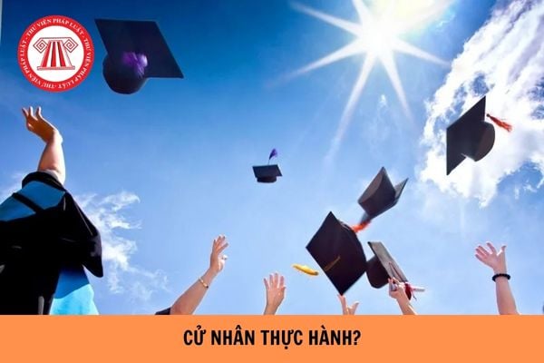 Cử nhân thực hành là gì? Bằng Cử nhân thực hành là bằng gì?