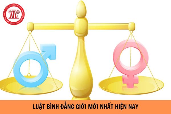 Luật Bình đẳng giới mới nhất hiện nay là luật nào?