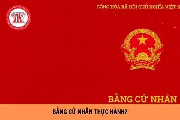 Bằng cử nhân thực hành có phải là bằng đại học?