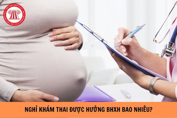 Nghỉ khám thai hưởng BHXH bao nhiêu? Khi nào khám thai không được hưởng chế độ thai sản? (Hình từ Internet).