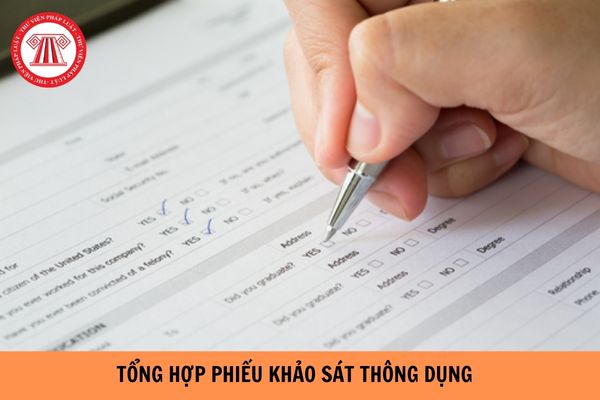 Tổng hợp các Phiếu khảo sát thông dụng nhất năm 2023?