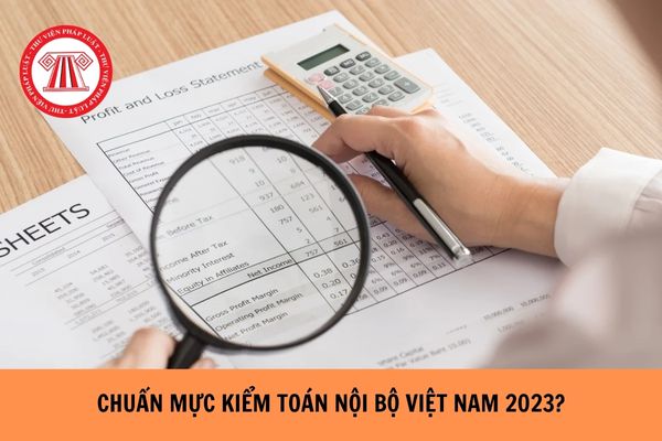 Chuẩn mực kiểm toán nội bộ Việt Nam năm 2023?