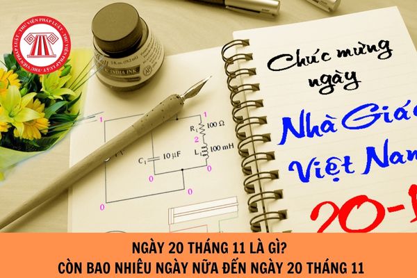 Ngày 20 tháng 11 là ngày gì? Còn bao nhiêu ngày nữa đến ngày 20 tháng 11?