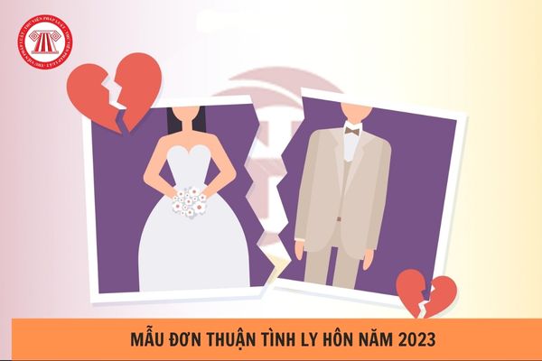 Mẫu Đơn thuận tình ly hôn năm 2023? Thủ tục thụ lý đơn thuận tình ly hôn được thực hiện như thế nào? (Hình từ Internet).