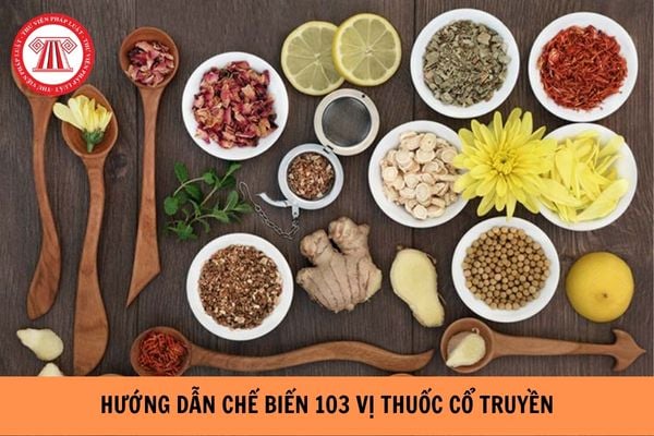 Hướng dẫn chế biến 103 vị thuốc cổ truyền năm 2023?