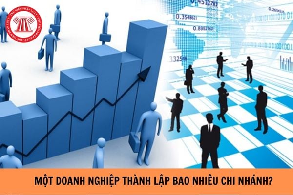 Một doanh nghiệp có thể thành lập tối đa bao nhiêu chi nhánh? 