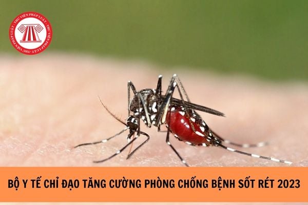 Bộ Y tế chỉ đạo tăng cường công tác phòng chống bệnh sốt rét năm 2023?