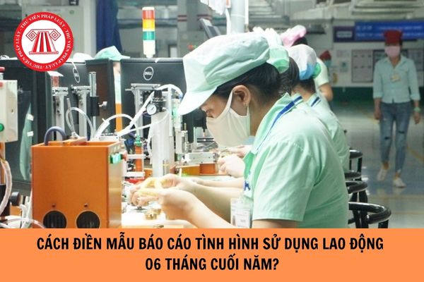 Cách điền mẫu số 01 về báo cáo tình hình sử dụng lao động 06 tháng cuối năm như thế nào?