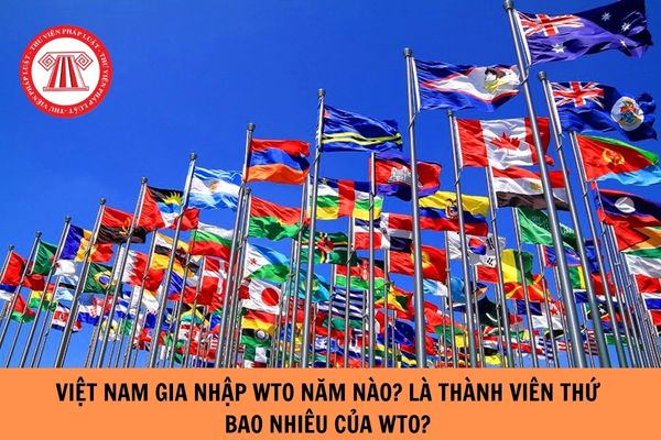  Việt Nam gia nhập WTO năm nào? Là thành viên thứ bao nhiêu của WTO?