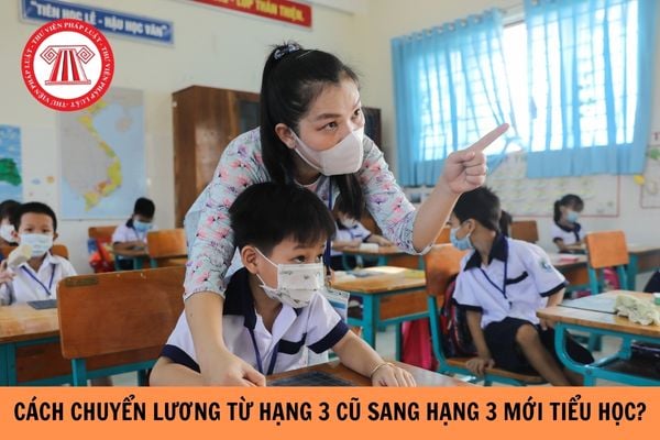 Cách chuyển lương từ hạng 3 cũ sang hạng 3 mới tiểu học? Bổ nhiệm vào giáo viên tiểu học hạng 3 mới ra sao?