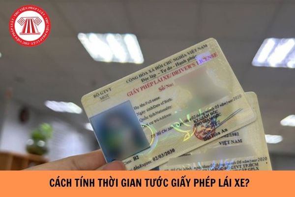 Cách tính thời gian tước Giấy phép lái xe chuẩn xác nhất? 