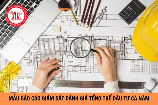 Mẫu báo cáo giám sát đánh giá tổng thể đầu tư cả năm mới nhất năm 2024?