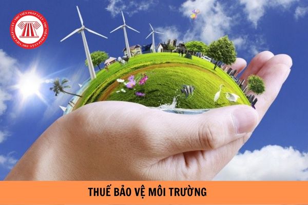 Công ty có phải đóng thuế bảo vệ môi trường khi nhập khẩu túi ni lông từ một công ty khác xuất khẩu kinh doanh túi ni lông tại Việt Nam? (Hình từ Internet).