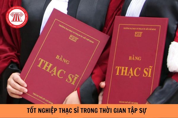 Tốt nghiệp thạc sĩ trong thời gian tập sự người tập sự có được xếp lương bậc 2? (Hình từ Internet).