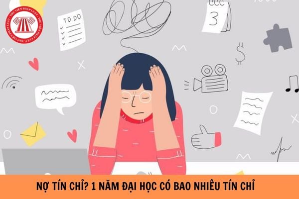 Nợ tín chỉ là gì? 1 năm đại học có bao nhiêu tín chỉ?