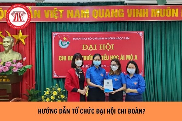 Hướng dẫn tổ chức đại hội chi đoàn chuẩn nhất hiện nay?