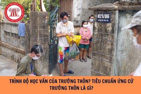 Trình độ học vấn của Trưởng thôn? Tiêu chuẩn ứng cử trưởng thôn là gì?