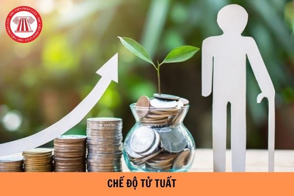 Chế độ tử tuất đối với BHXH bắt buộc năm 2024?