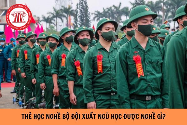 Thẻ học nghề bộ đội xuất ngũ học được nghề gì năm 2024?