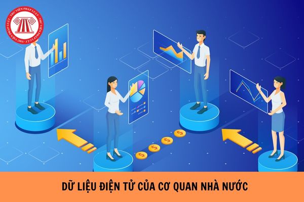 Người dân được quyền truy cập dữ liệu điện tử của cơ quan nhà nước kể từ ngày 01/07/2024? 