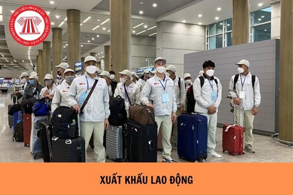 Xuất khẩu lao động là gì? Cách để đi xuất khẩu lao động đơn giản, hiệu quả?