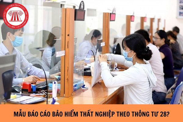 Mẫu Báo cáo bảo hiểm thất nghiệp theo Thông tư 28 như thế nào?