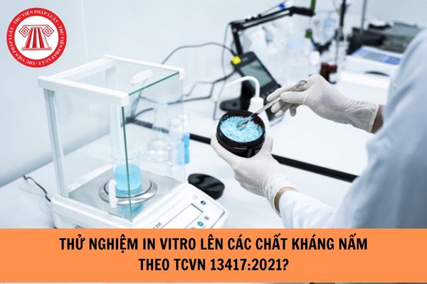 Thử nghiệm in vitro là gì? Yêu cầu chung đối với thử nghiệm in vitro lên các chất kháng nấm theo TCVN 13417:2021 như thế nào?