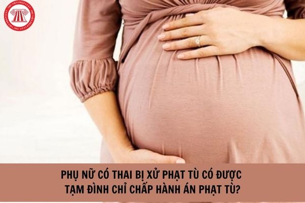 Phụ nữ có thai bị xử phạt tù thì có được tạm đình chỉ chấp hành án phạt tù phải không? (Hình từ Internet).